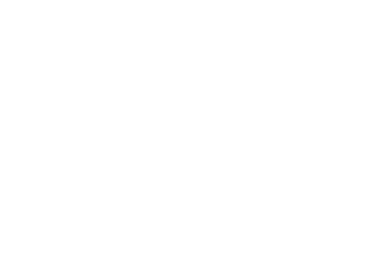 Festival Official Selection